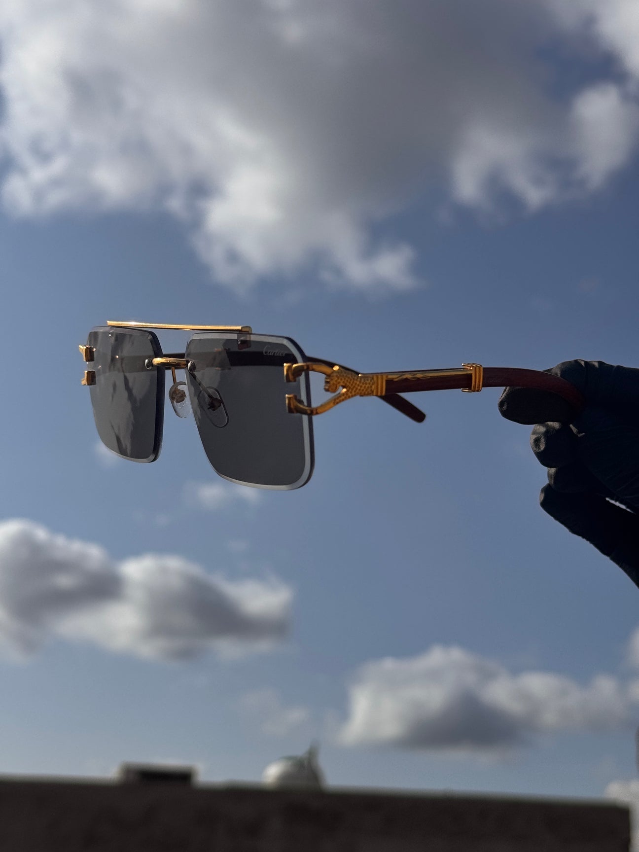 Cheeta magic glasses