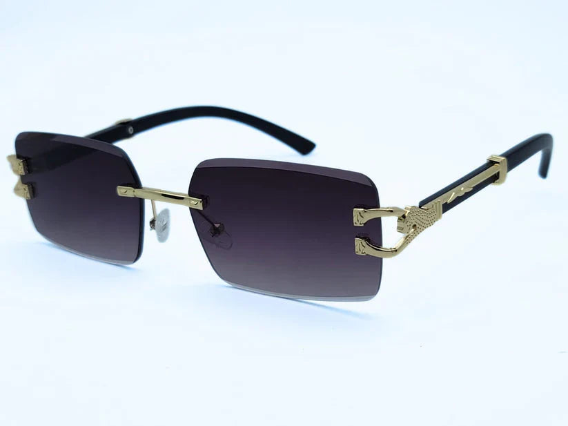 Billionaire offer wallet+ glasses
